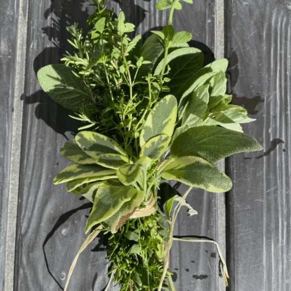 Culinary Herb Bundle