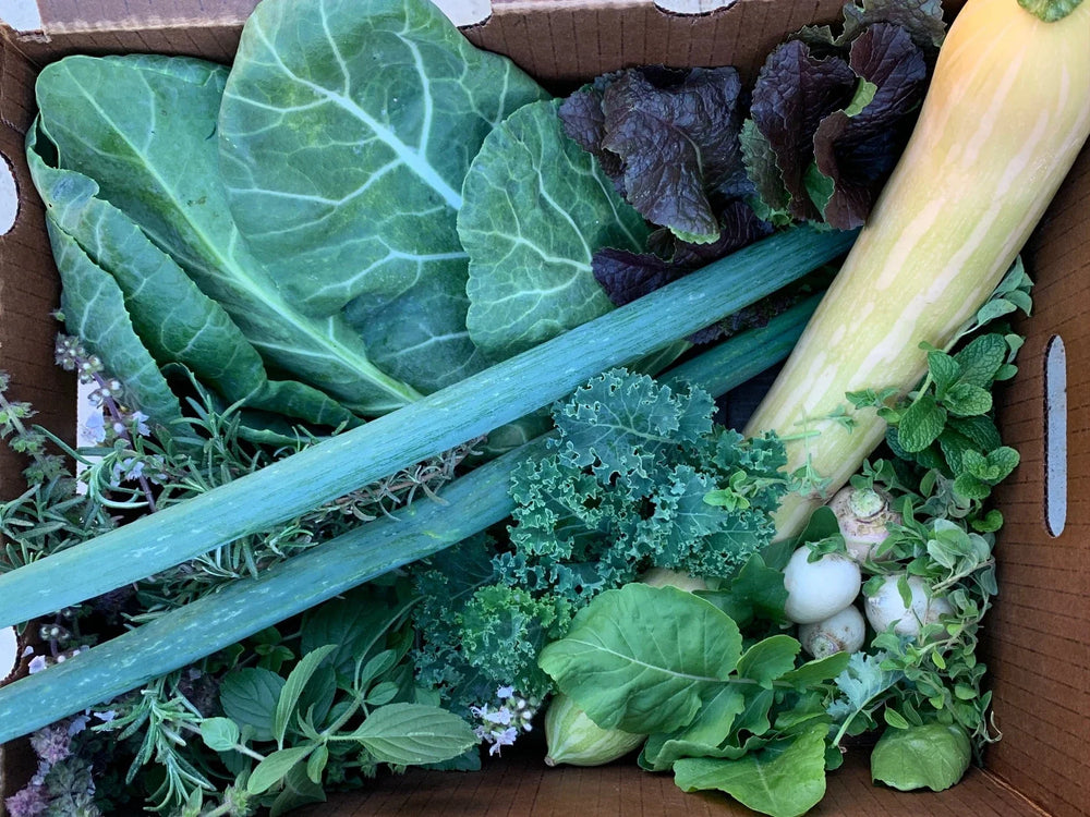 Organic Seasonal Harvest Box