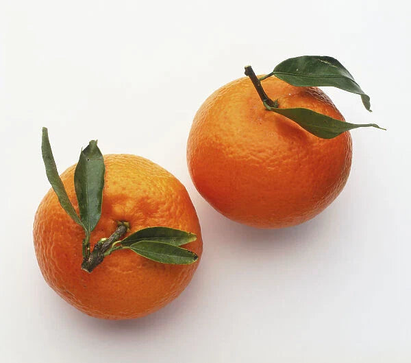 California Grown Tangerines